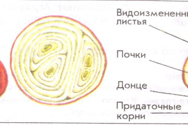 Кракен сайт 18