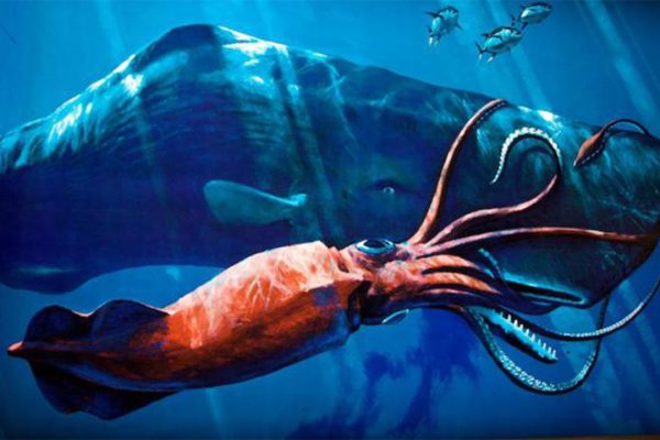 Kraken актуальные зеркала krakentor site