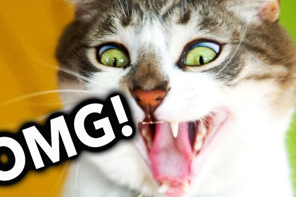 Кракен маркет даркнет тор