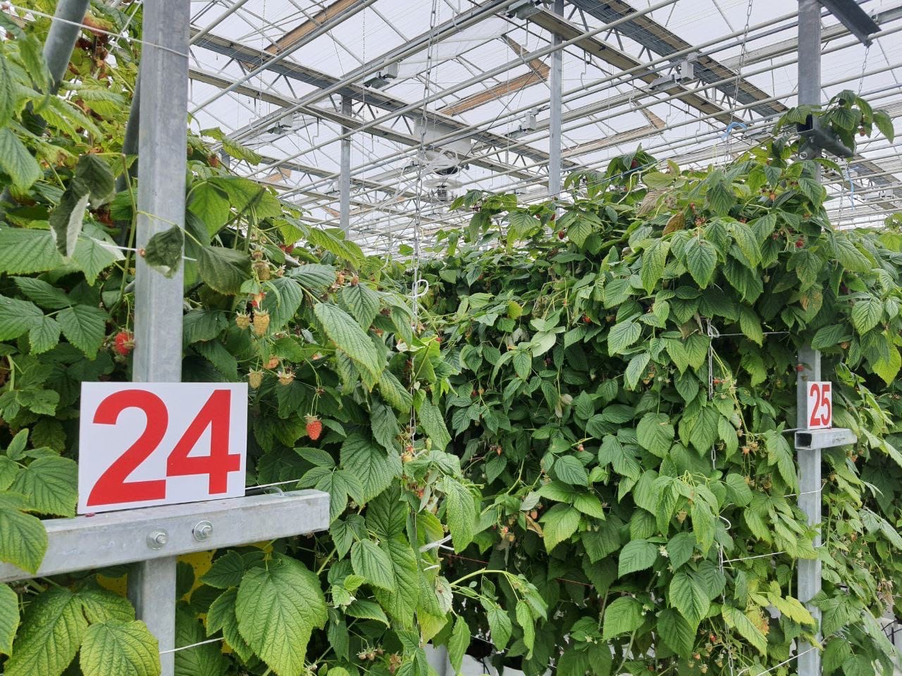 Зайти на кракен тор